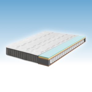 daanser hybrid original interior